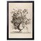 12" x 16" Vintage Vase in Sepia Framed Wall Art, Contemporary Floral Home Décor, Glass Facing and Hanging Hardware Included